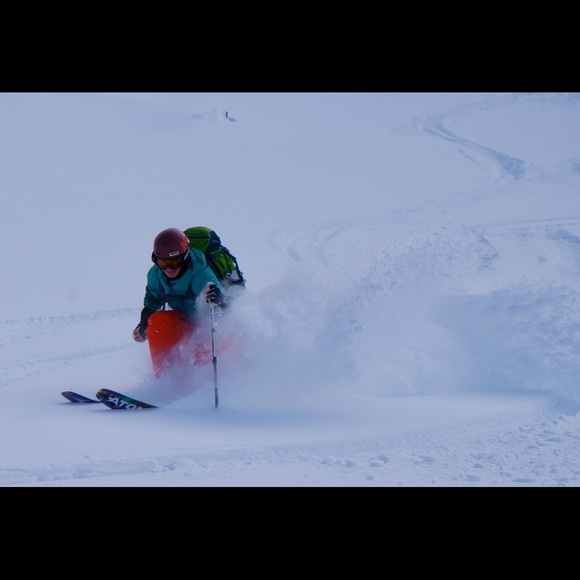 Meet your Posher, Zane - Picture 2 of 4